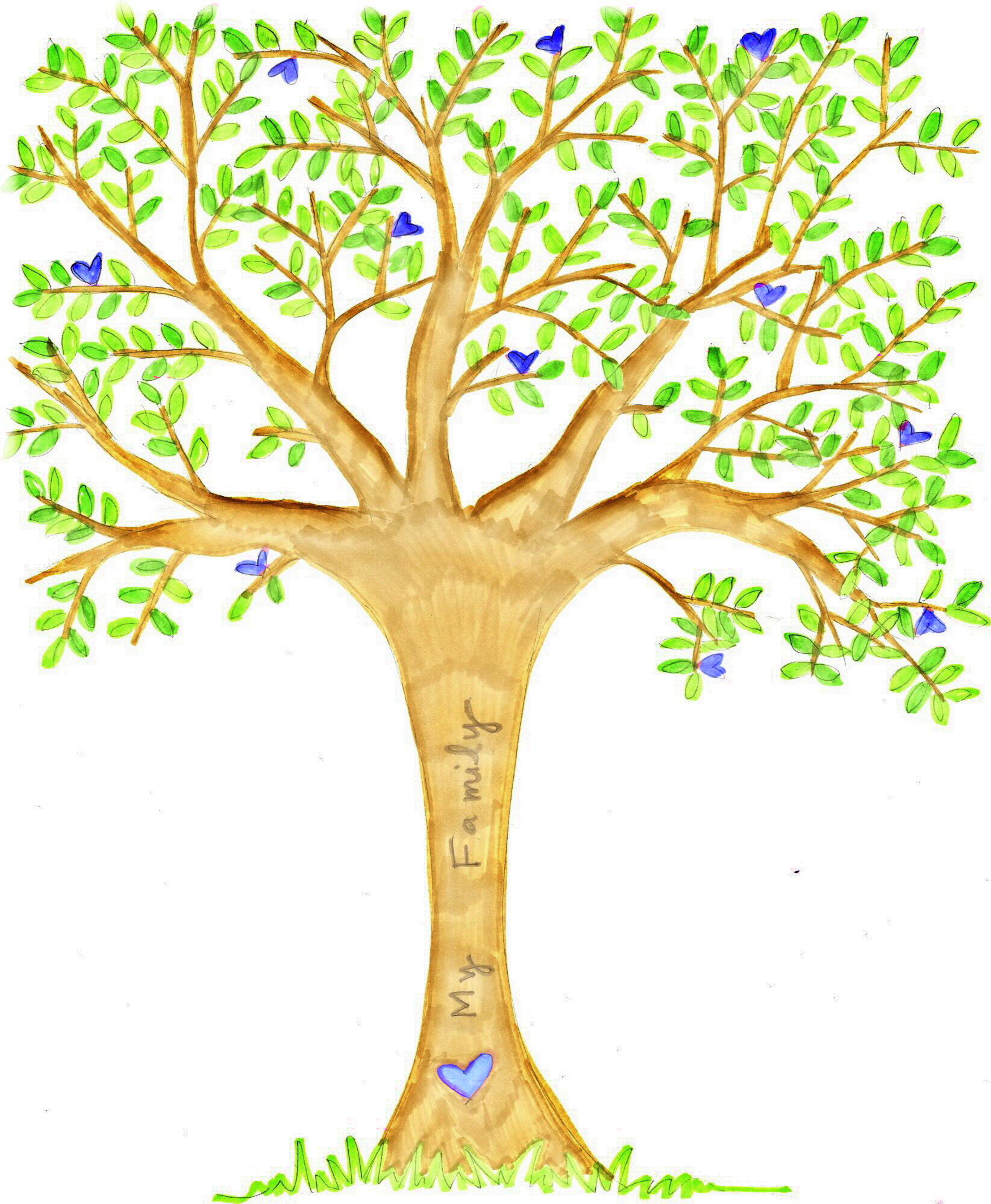family photo tree