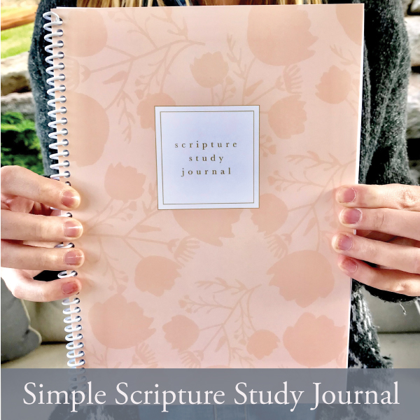 lds scriptures journal edition lds scriptures journal edition