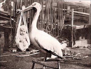 birth