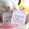 FLIPBOOK-Names of Christ (Boy/Girl Combo Package)