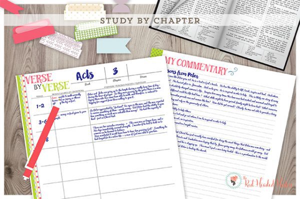 Study by Chapter and Topic Scripture Study COMBO Package