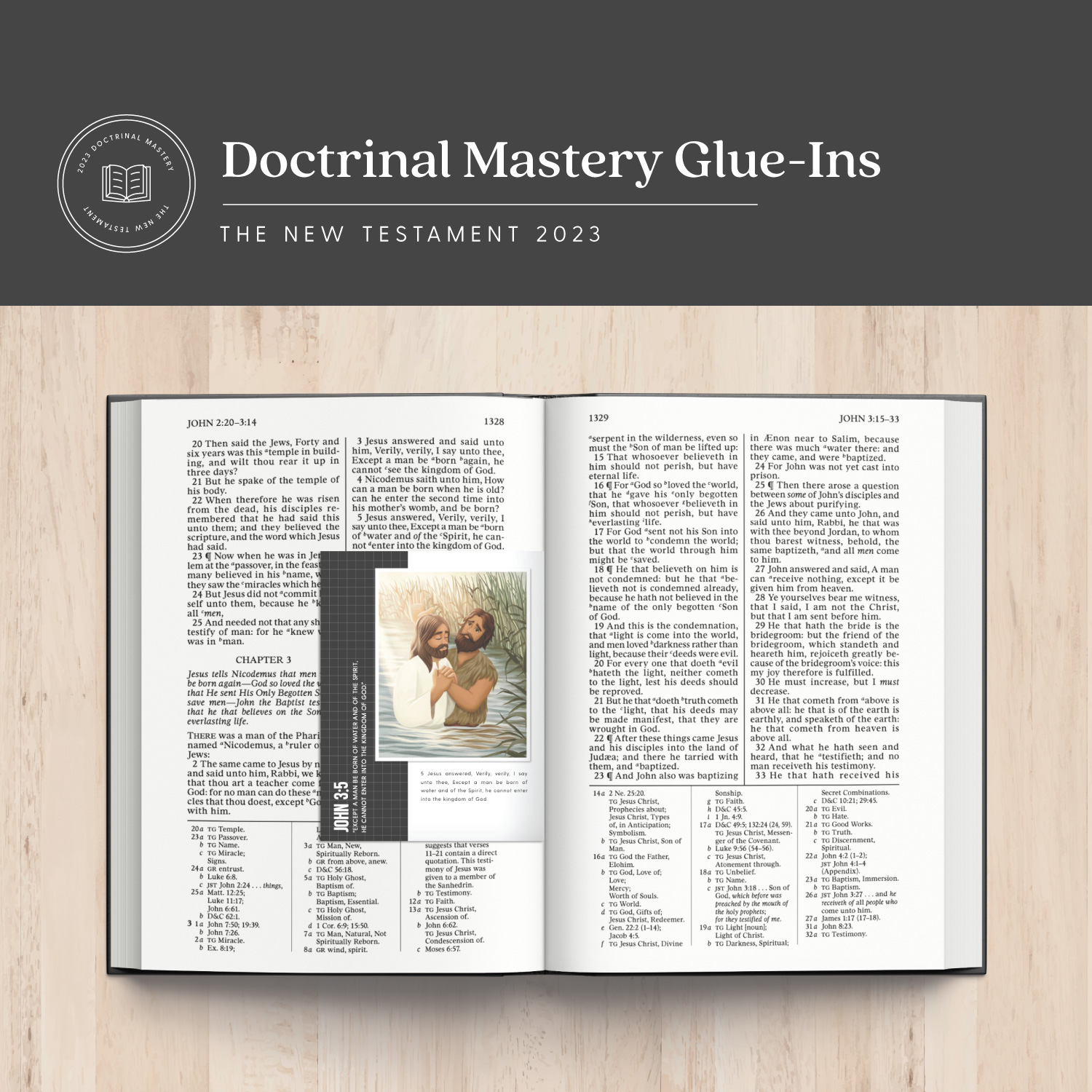 New Testament Doctrinal Mastery GlueIns (PDF Download) The Red
