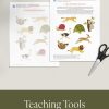 DoctrineandCovenants58 59 StudyandTeachingHelps pinterest3