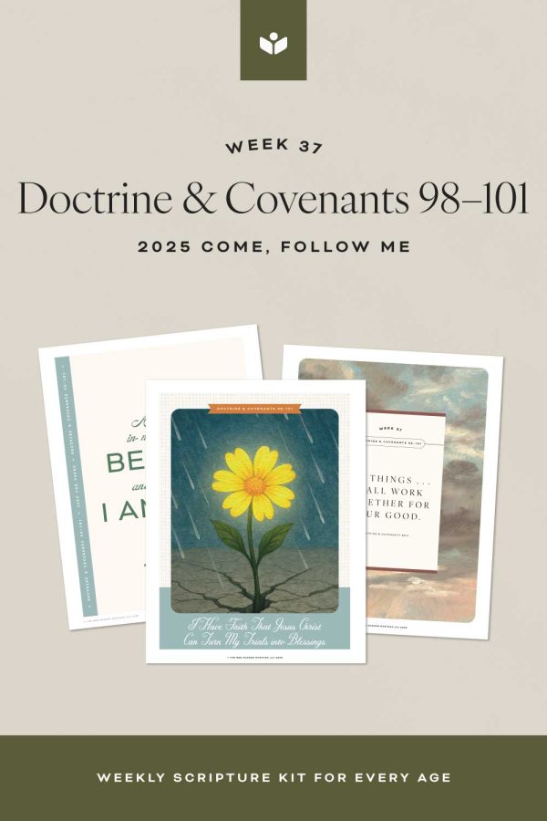 DoctrineandCovenants98 101 StudyandTeachingHelps pinterest1