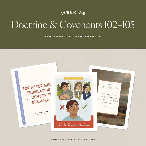 DoctrineandCovenants102 105 StudyandTeachingHelps 1