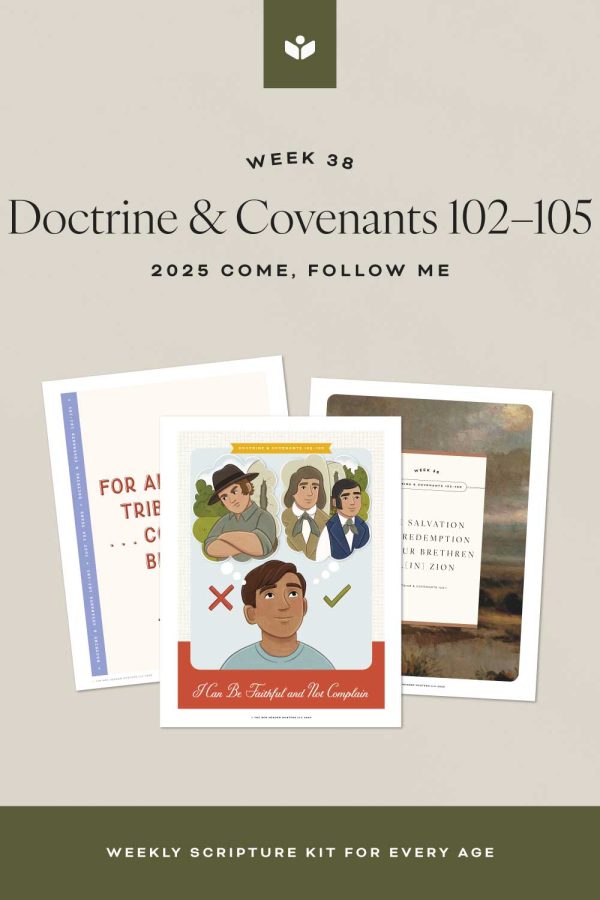 DoctrineandCovenants102 105 StudyandTeachingHelps pinterest1