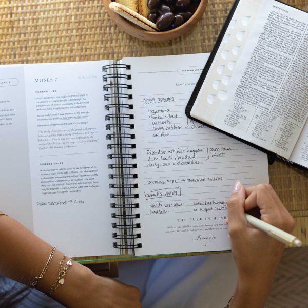Seek OldTestament2026 11