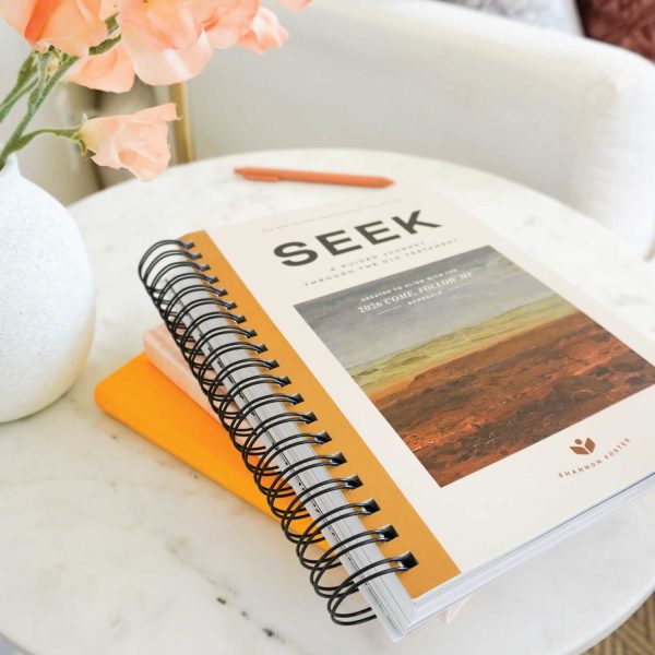 Seek OldTestament2026 15