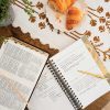 Seek OldTestament2026 18