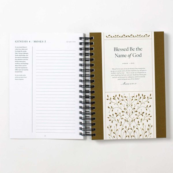 Seek OldTestament2026 9