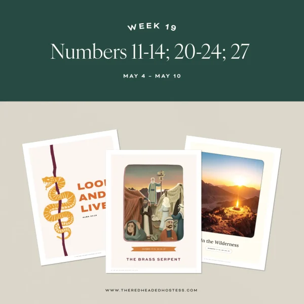 Numbers11 14;20;20 24;27 StudyandTeachingHelps 1